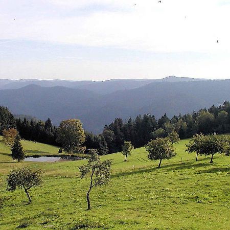 Schanzenberghof Hornberg Kültér fotó